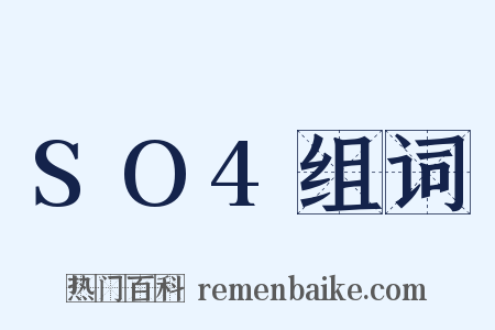 SO4组词是什么意思的图片